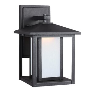 Hayner 1-Light Outdoor Wall Lantern