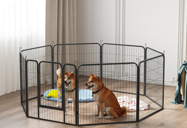 Dog Kennels & Pens They'll Love