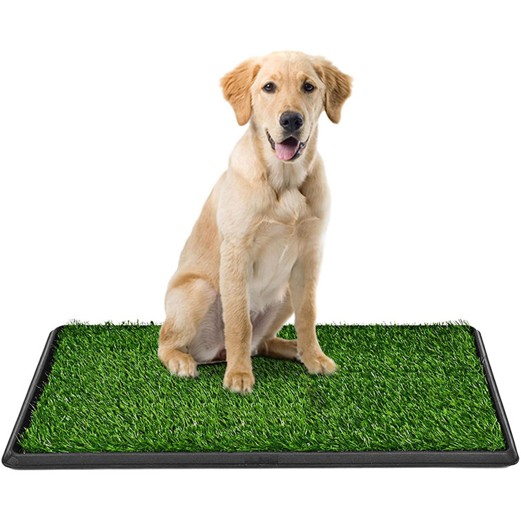dog potty cover