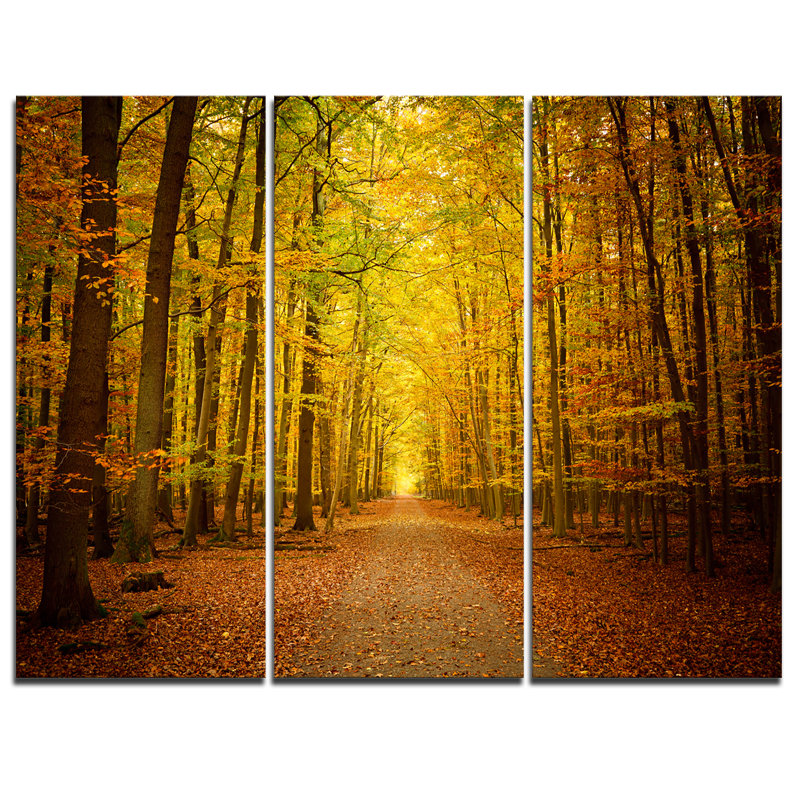 Designart Pathway In Green Autumn Forest 3 Piece Graphic Art On Wrapped Canvas Set Wayfair