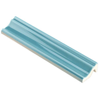 Pixl True Story 12 X 6 Matte Porcelain Cove Base Tile Trim In Turquoise Wayfair