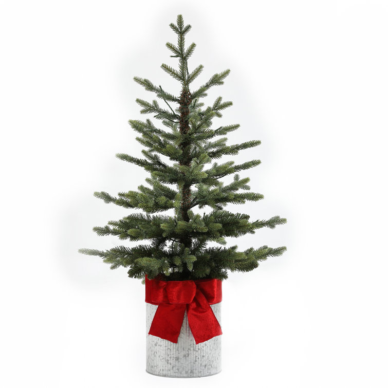 The Holiday Aisle 3 6 Slender Green Fir Christmas Tree With 100 Led Lights Wayfair