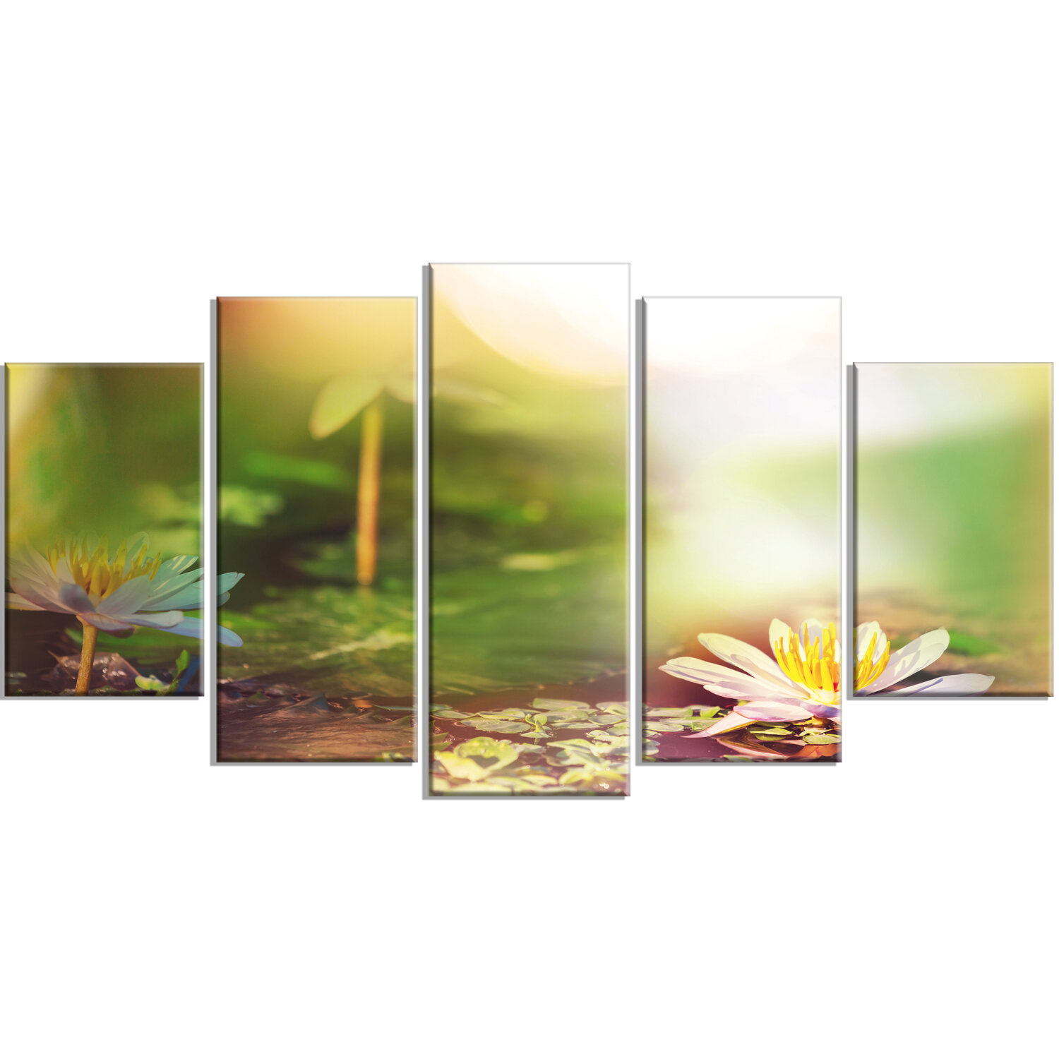 Designart Lotus Flowers On Green Background 5 Piece Wall Art On Wrapped Canvas Set Wayfair