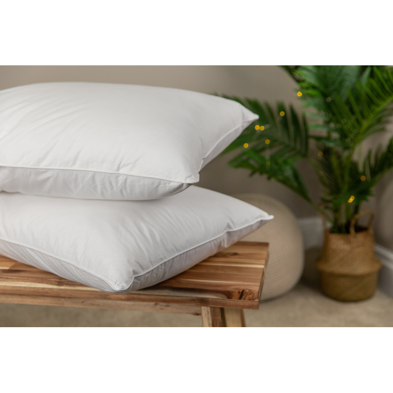 Snuggledown Clusterdown Non Allergenic Pillow Reviews Wayfair