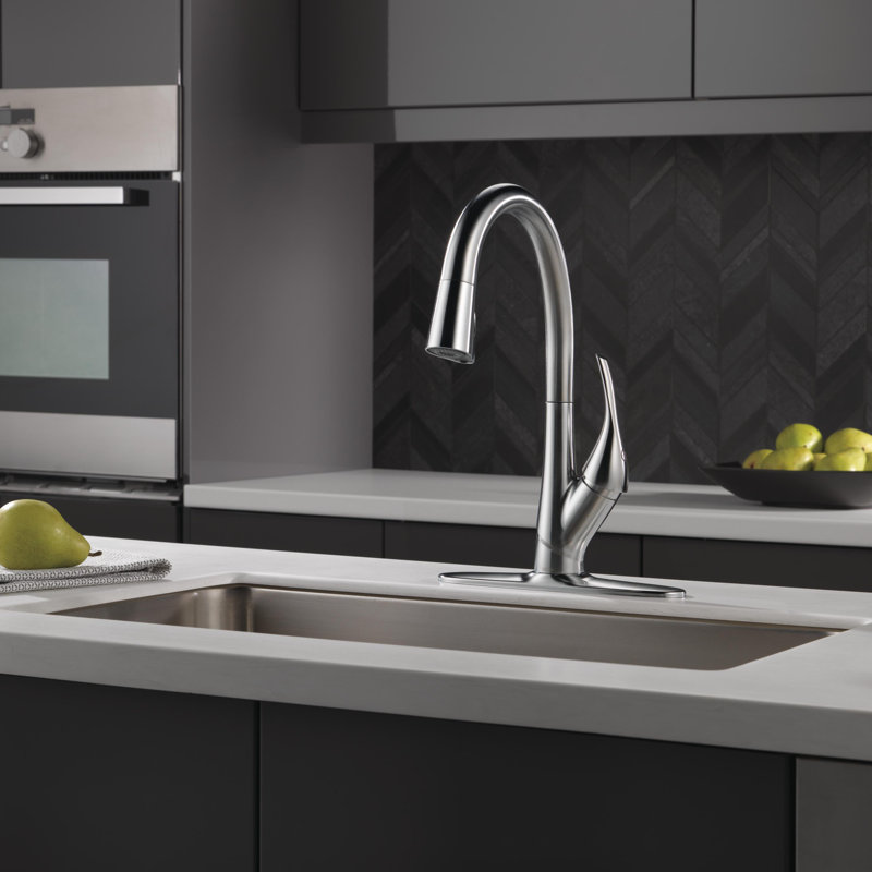 9181 Rb Dst Dst Ar Dst Delta Esque Pull Down Single Handle Kitchen Faucet With Diamond Seal And Shieldspray Technology Reviews Wayfair