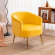 Everly Quinn Lyela Upholstered Armchair & Reviews | Wayfair