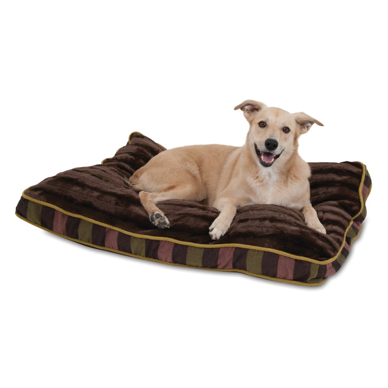 petmate elevated dog bed