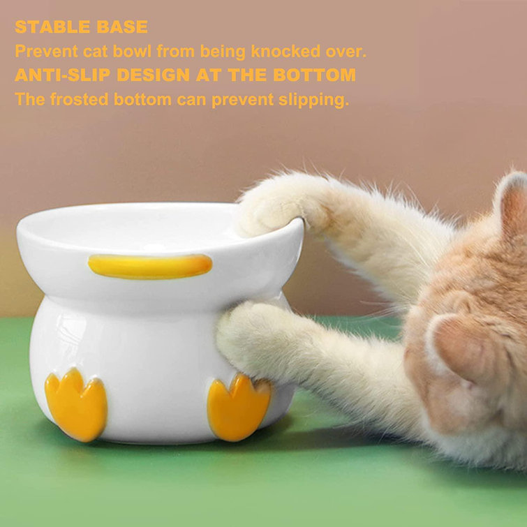 flat face cat bowl