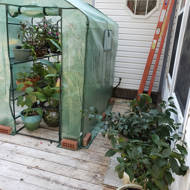 To Fit Frame Size 19.3/"W X 27.2/"D X 78.7/"H 5 TIER Greenhouse Replacement Cover
