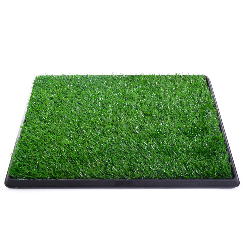 potty mat