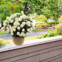 Mum Faux Flowers You Ll Love In 2021 Wayfair