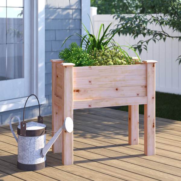 Boite A Fleur En Bois Pour Patio Sol 72 Outdoor Boite Surelevee Pour Jardin En Cedre De 3 Pi X 1 5 Pi Eligah Et Commentaires Wayfair Ca