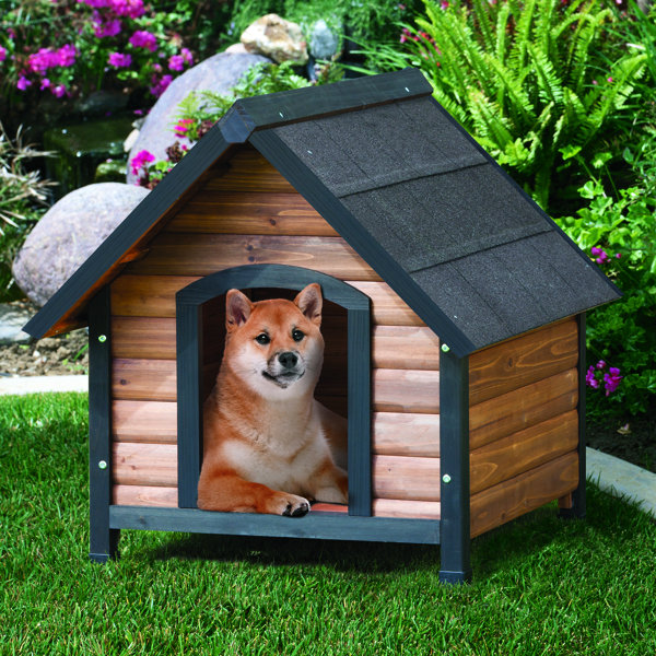 Precision Pet Outback Extreme Country Lodge Dog House & Reviews Wayfair
