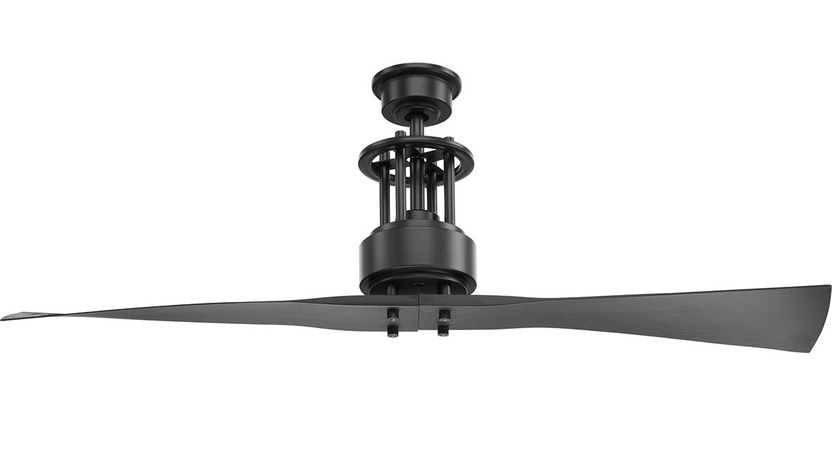 56 Hilyard 2 Blade Ceiling Fan With Remote