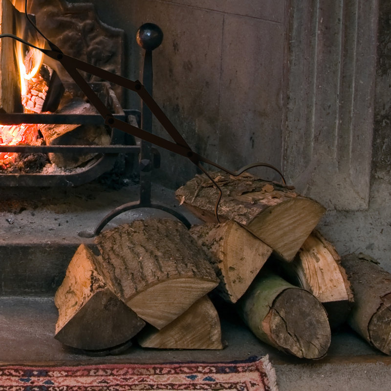 Pure Garden Log Grabber Steel Fireplace Tool Reviews Wayfair