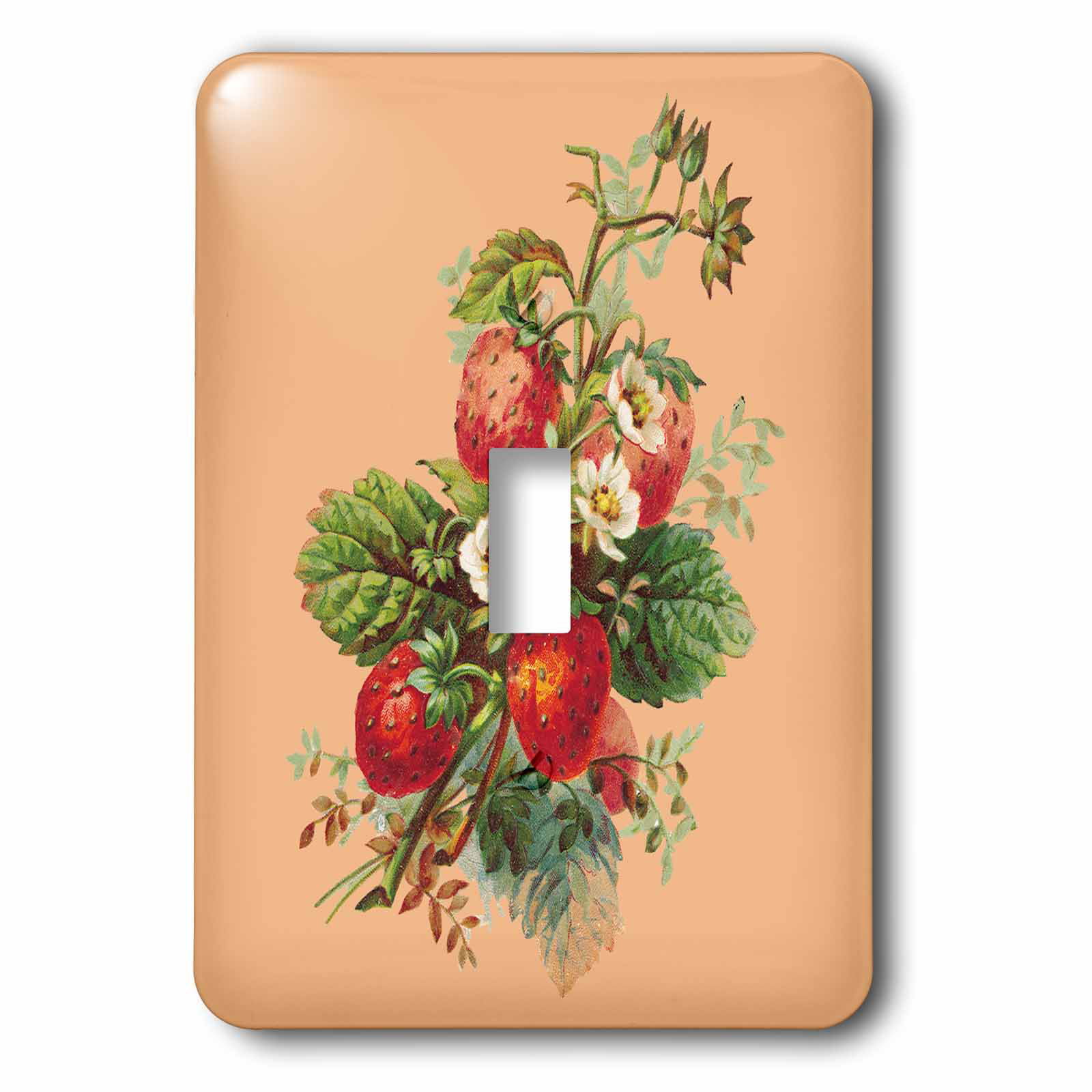 3drose Strawberry Plant With Fruits And Flowers 1 Gang Toggle Light Switch Wall Plate Wayfair