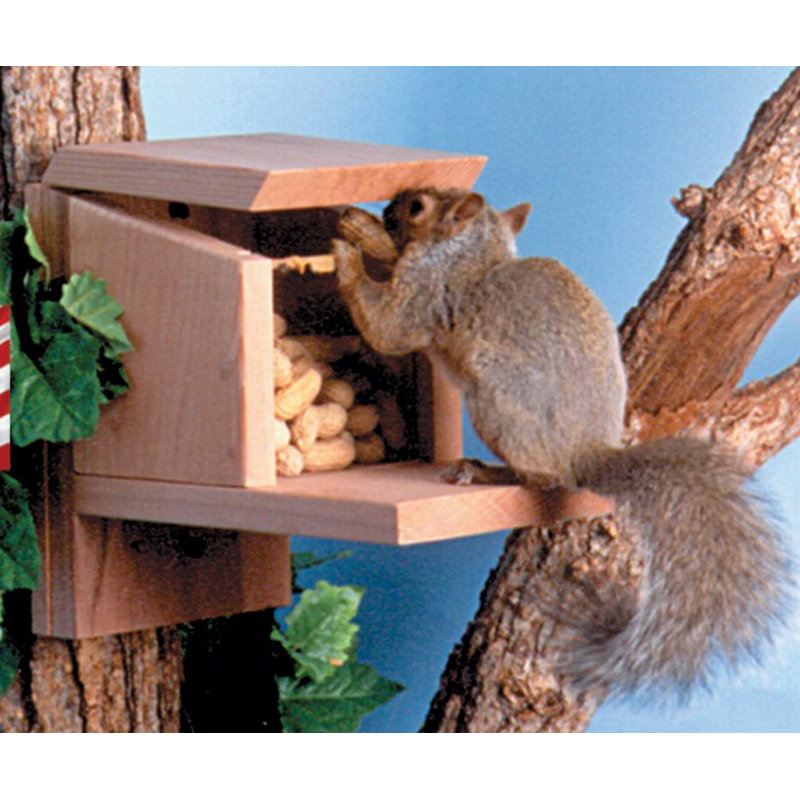 Songbird Essentials Munch Box Squirrel Feeder Reviews Wayfair