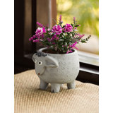 Small Urns And Statues Planters You Ll Love In 2021 Wayfair