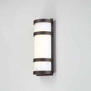 Go to store & view more images Ferriera 1-Light LED Outdoor Sconce by Ebern Designs