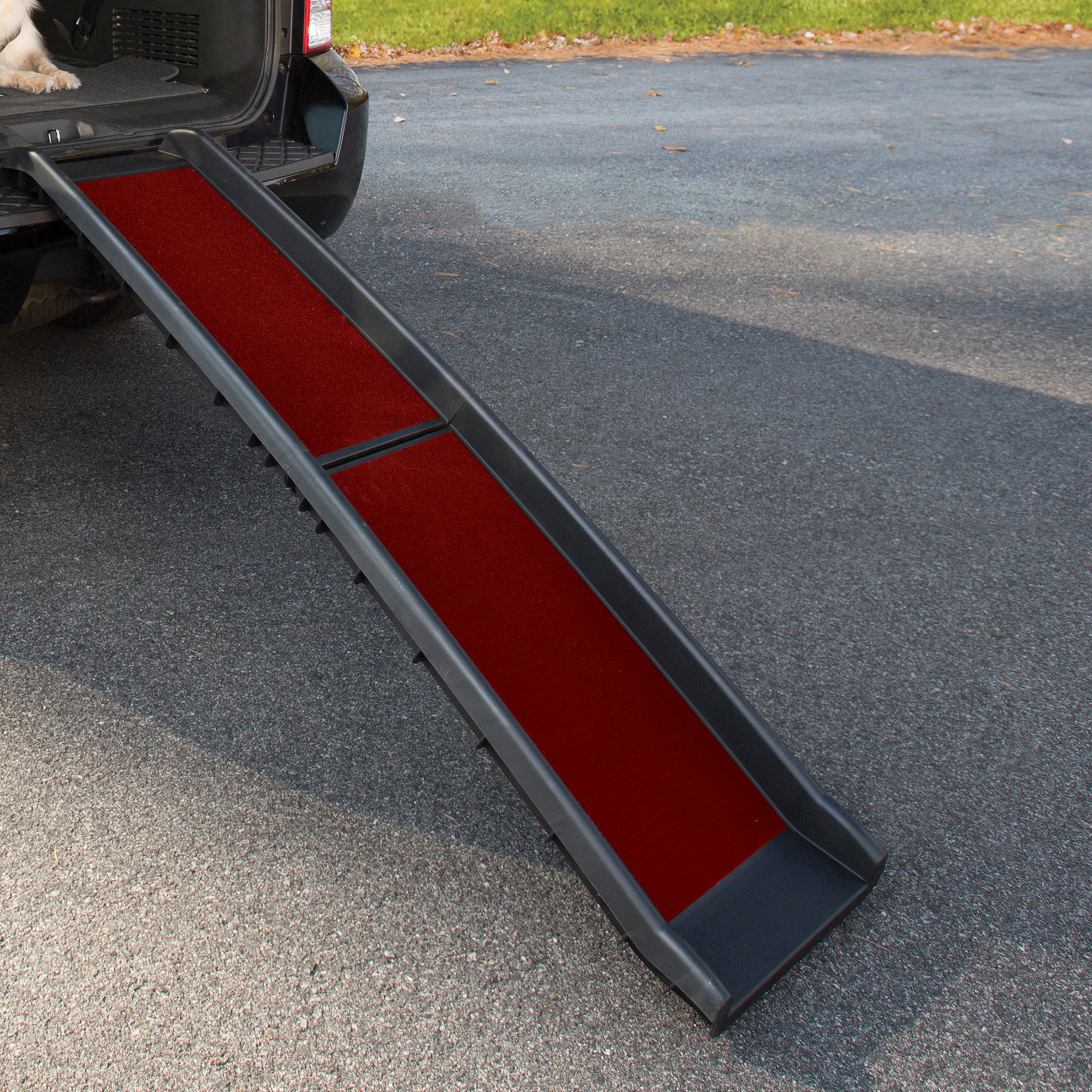 Kurgo Wander Collapsible Pet Ramp & Reviews Wayfair