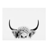 Black Cow Wall Art You Ll Love In 2020 Wayfair