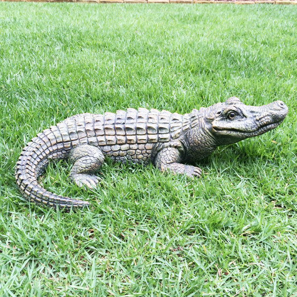 Alligator Statue Wayfair