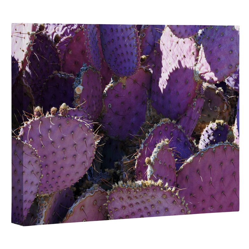 East Urban Home Rustic Purple Pancake Cactus Photographic Art on ...