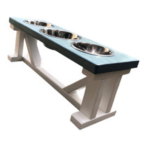 16 elevated dog feeder