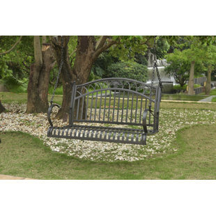 two seater swing set