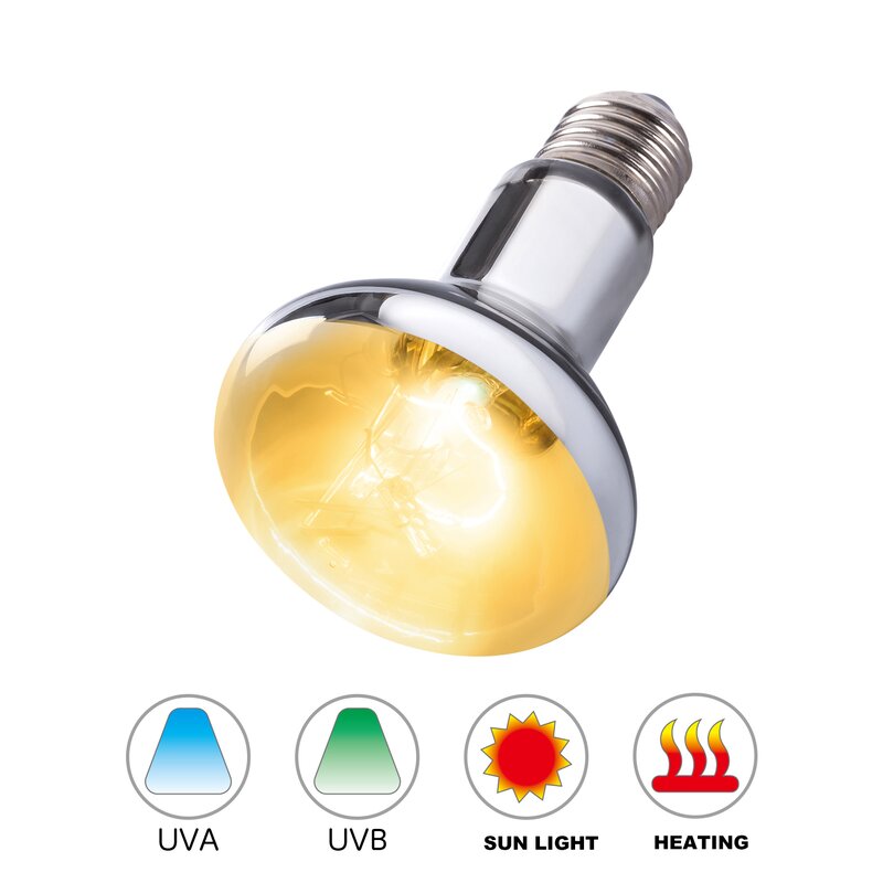 uvb and heat bulb in one
