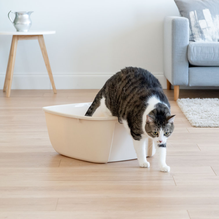 iris jumbo litter box