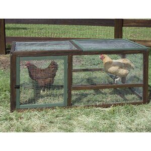 Hurton Chicken Run with Roosting Bar