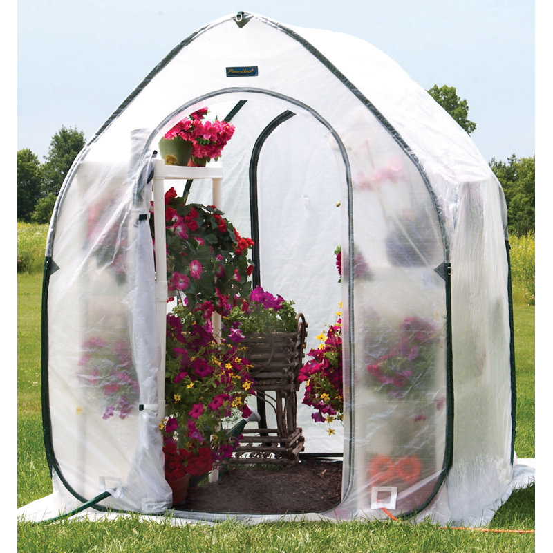 Flowerhouse Planthouse 5 Ft W X 5 Ft D Mini Greenhouse Reviews