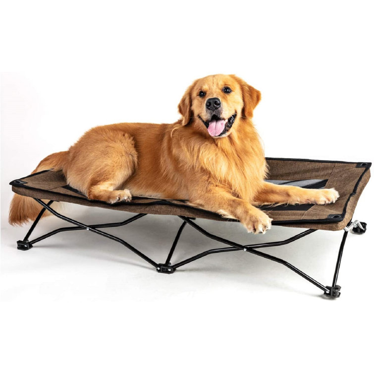 raised pet bed