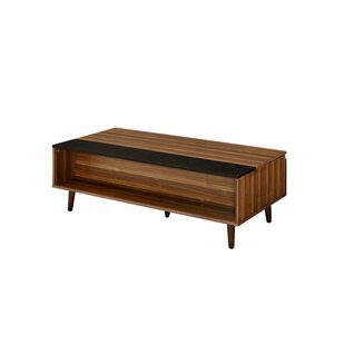 Richwood Lift Top Coffee Table With Storage By George Oliver