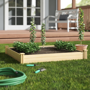 Raised Garden Table Wayfair Hos Cedar Raised Garden