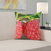 raspberry colored throw pillows