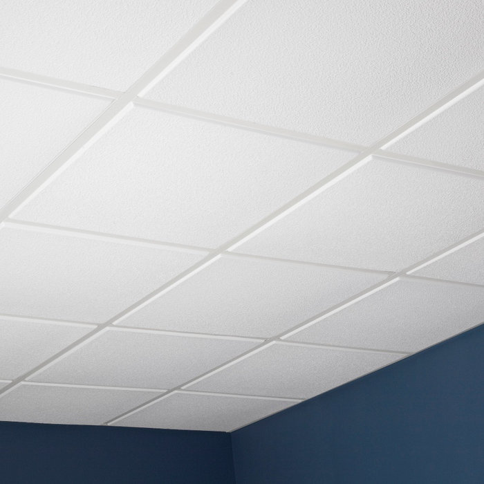 2 Ft X 2 Ft Drop In Or Grid Mount Ceiling Tile In White
