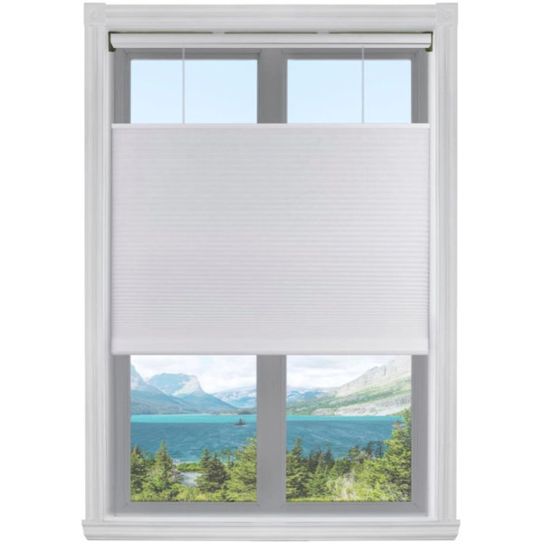 Top Down Bottom Up Blinds Wayfair Top Down Bottom Up Blinds Wayfair