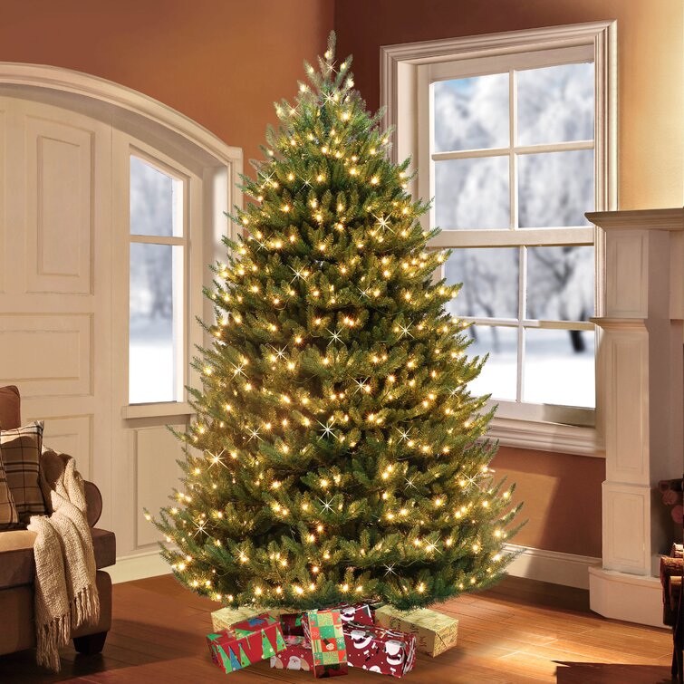 The Holiday Aisle® Canadian Green Fir Artificial Christmas Tree With Clear/ White Lights | Wayfair