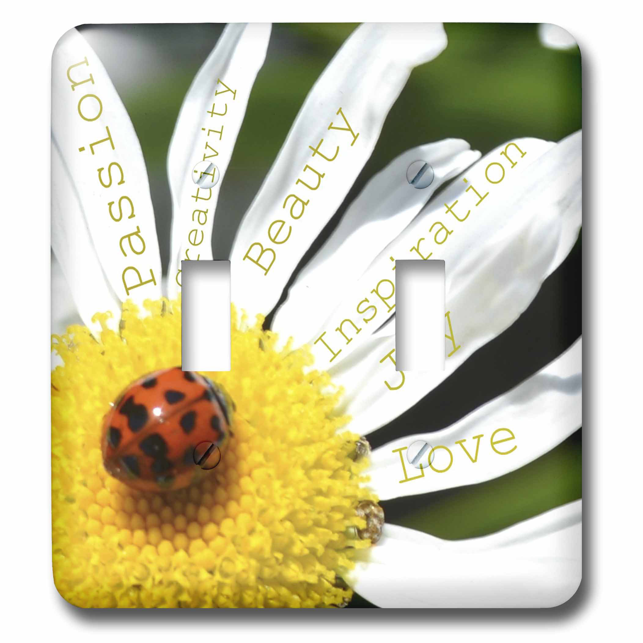 3drose Inspirational Words Ladybug On A Daisy Affirmations Flowers 2 Gang Toggle Light Switch Wall Plate Wayfair