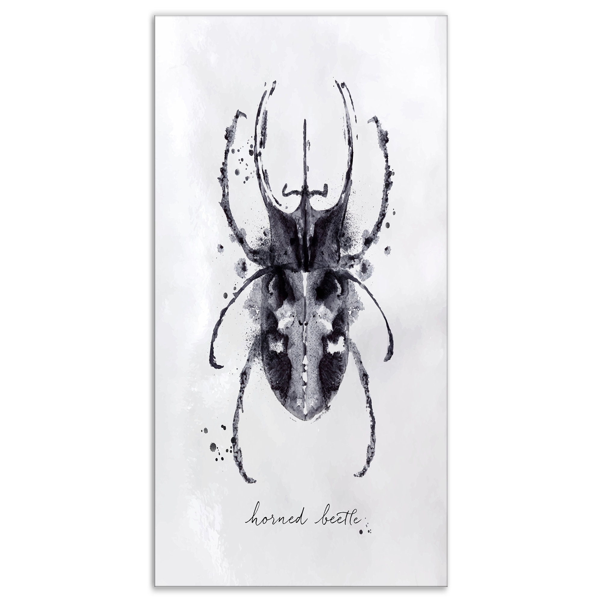 East Urban Home Monotype Horned Beetle Black Watercolor Painting