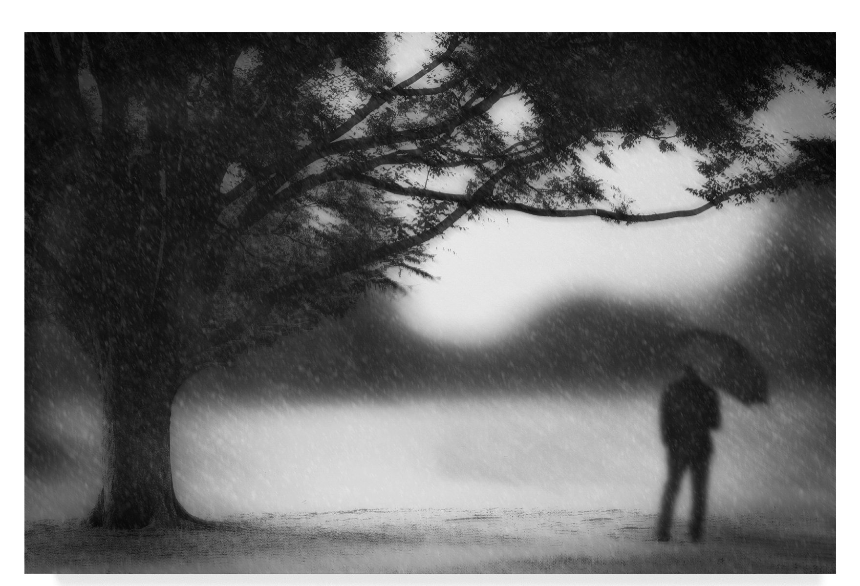 Trademark Art Snowy Day Photographic Print On Wrapped Canvas Wayfair