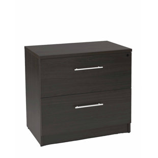 Buragate 2-Drawer Lateral Filing Cabinet by Latitude Run