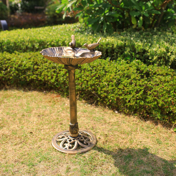 garden bird bath wayfair