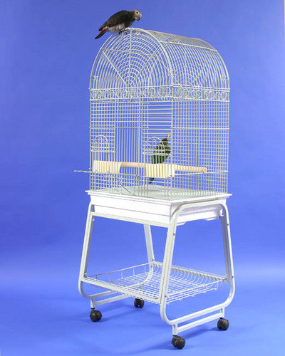 plastic bird cage