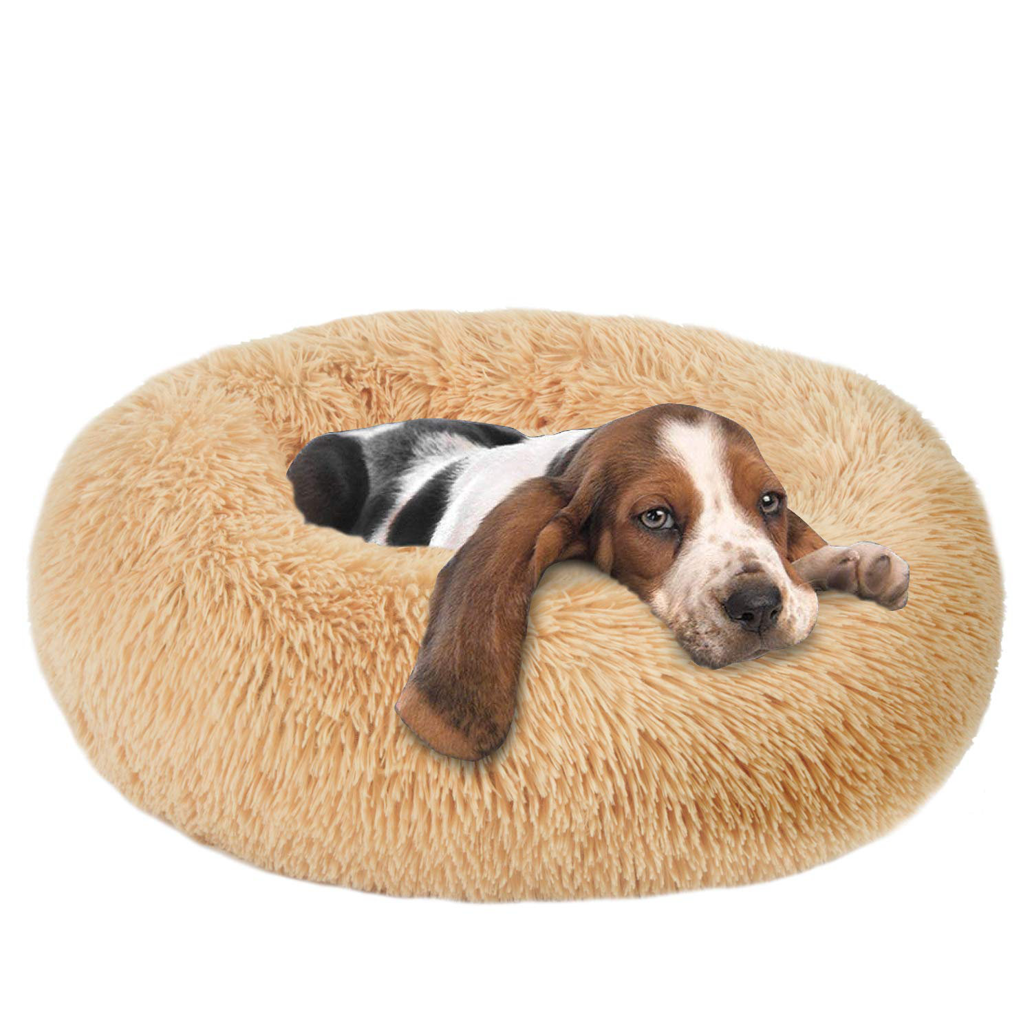 hound dog bed large