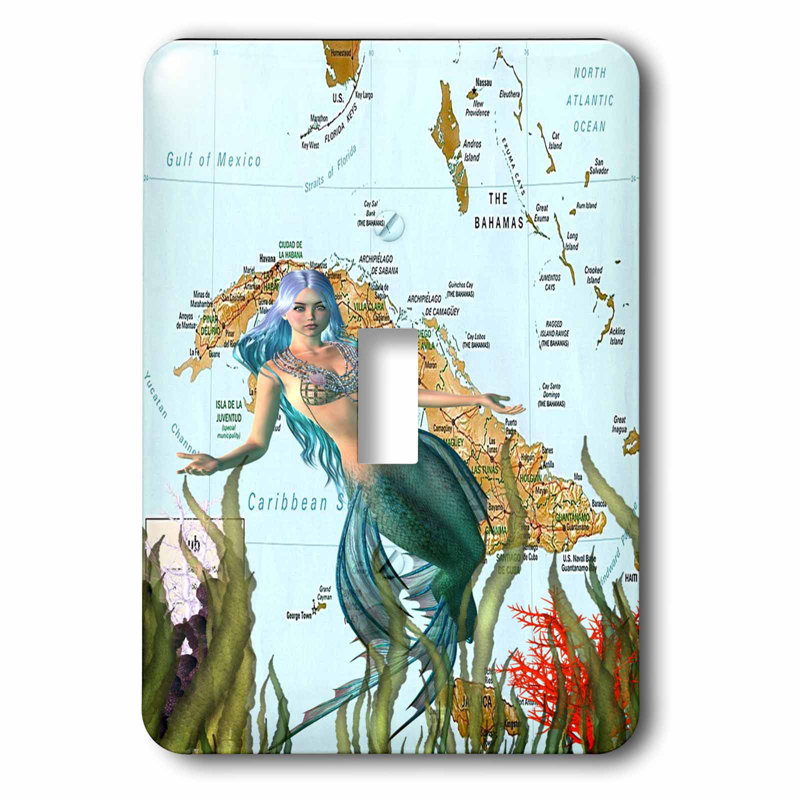 3drose Mermaid And Map 1 Gang Toggle Light Switch Wall Plate Wayfair