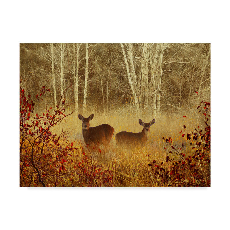 Millwood Pines Foggy Deer Acrylic Painting Print On Wrapped Canvas Wayfair