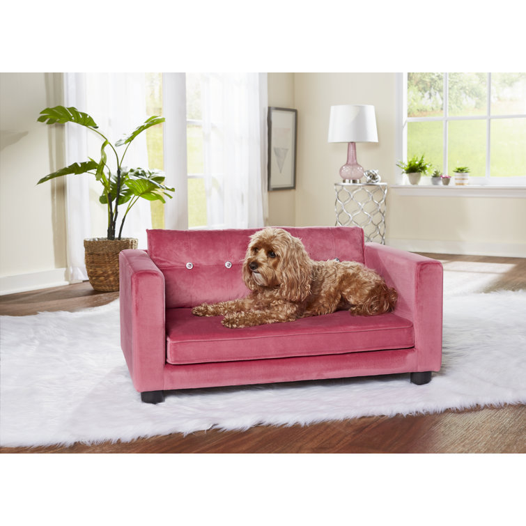 tufted dog sofa